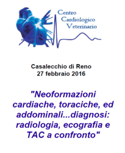 neoformazioni-casalecchio